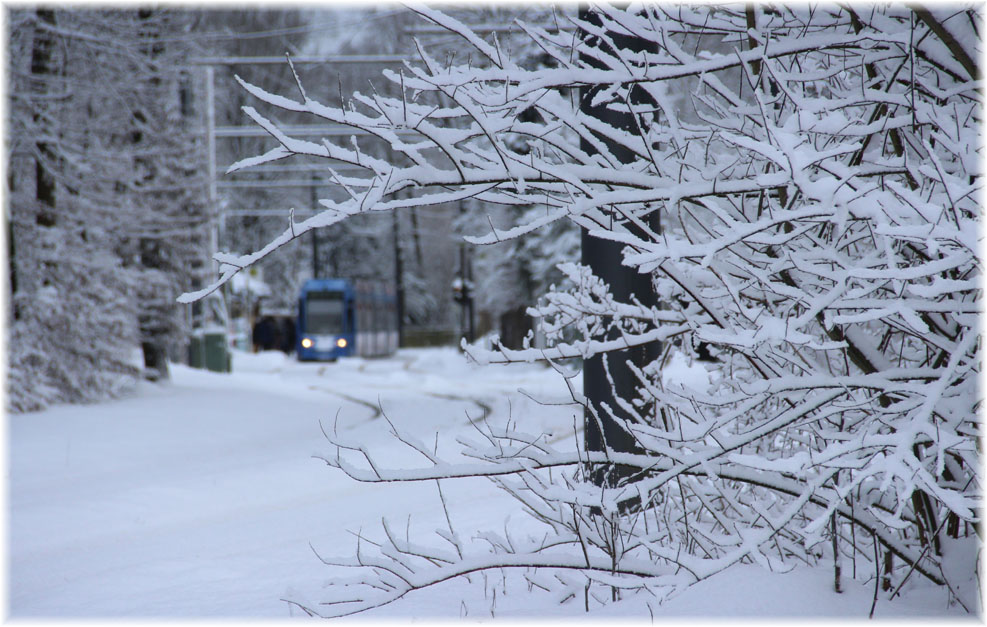 Winter auf der Außenlinie II