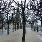 Winter auf der Brühl`schen Terrasse 