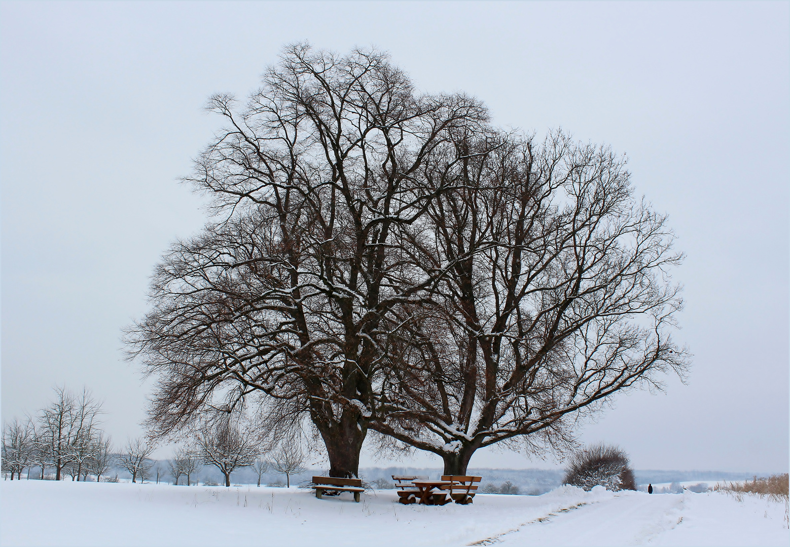 Winter auf der Dorfwiese...