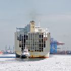 Winter auf der Elbe 1