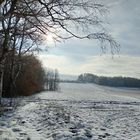 Winter auf der Flur