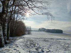 Winter auf der Flur