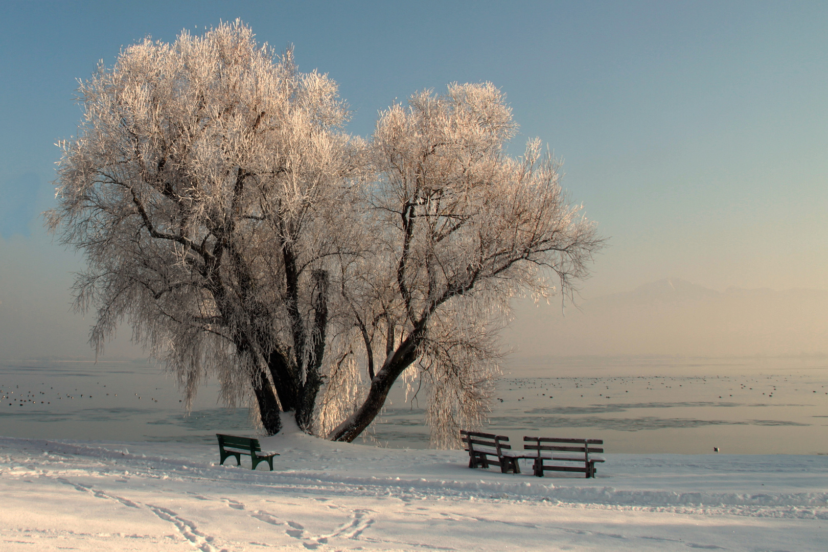 Winter auf der Fraueninsel