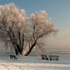 Winter auf der Fraueninsel