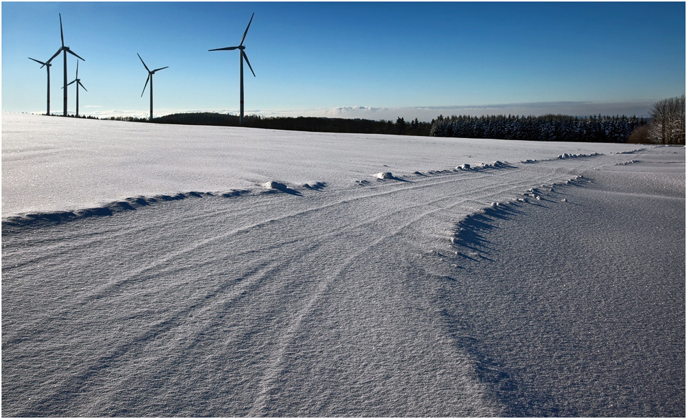 Winter auf der Fuchskaute