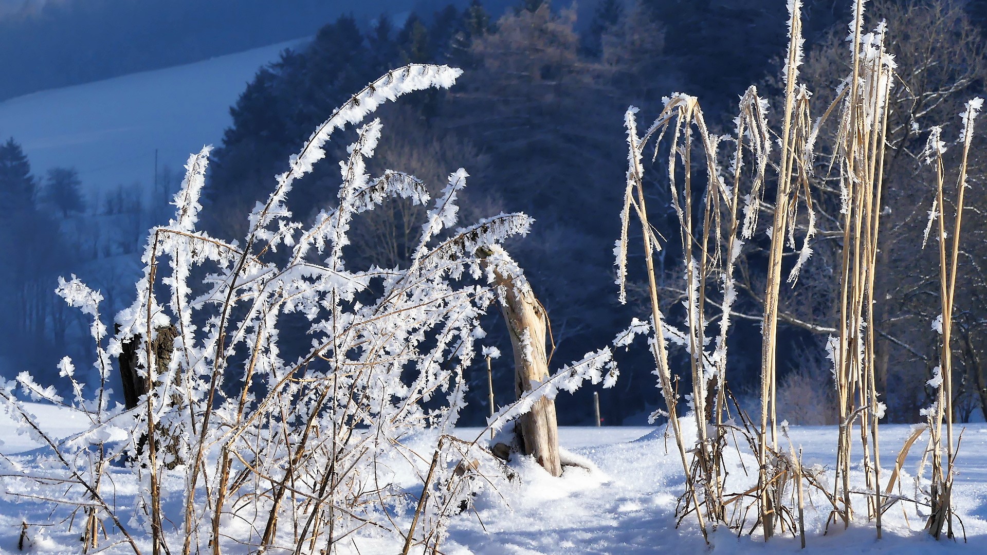 Winter auf der Gaiseben