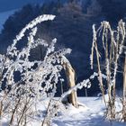 Winter auf der Gaiseben