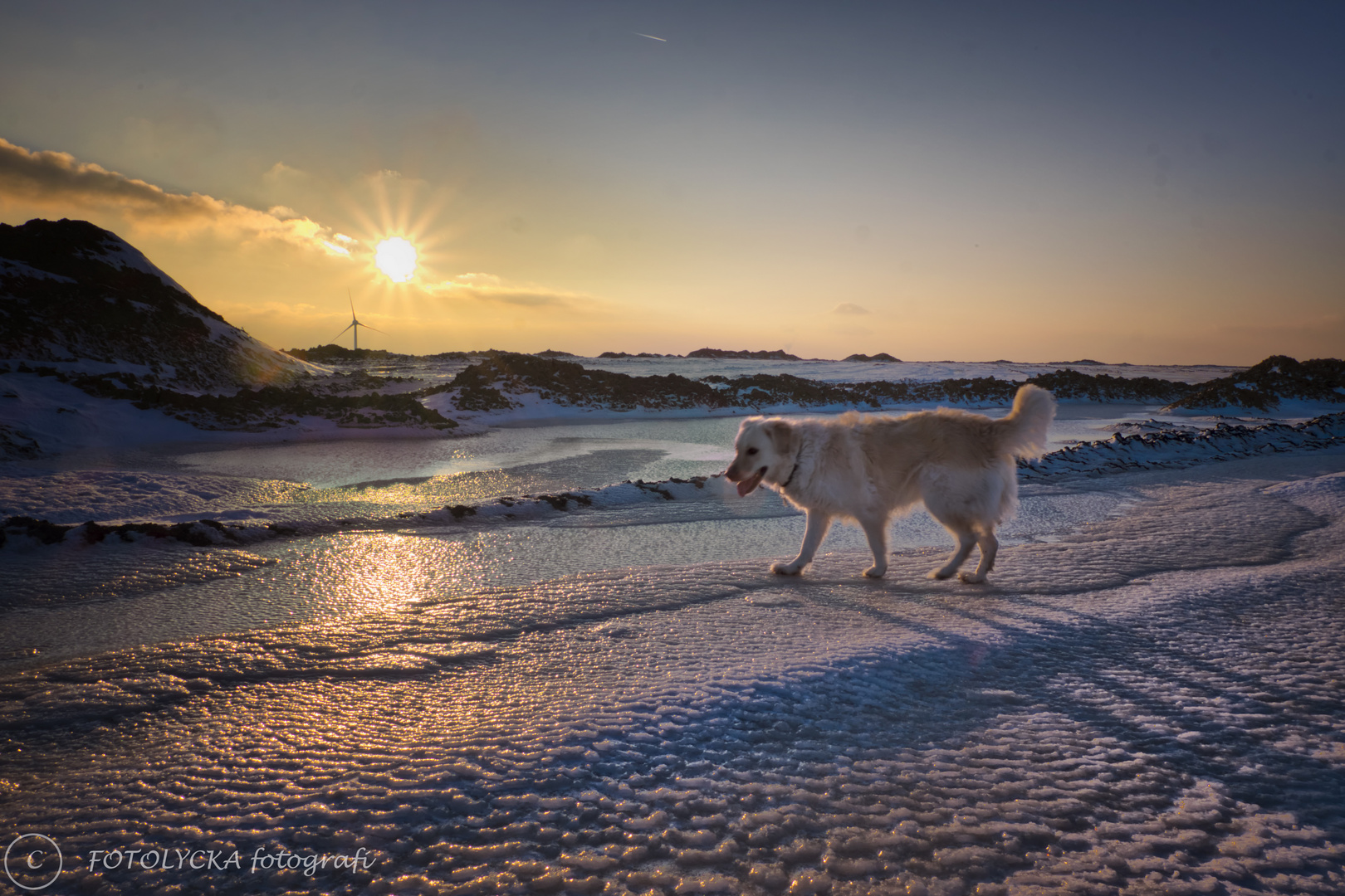 Winter auf der Halde