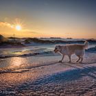 Winter auf der Halde