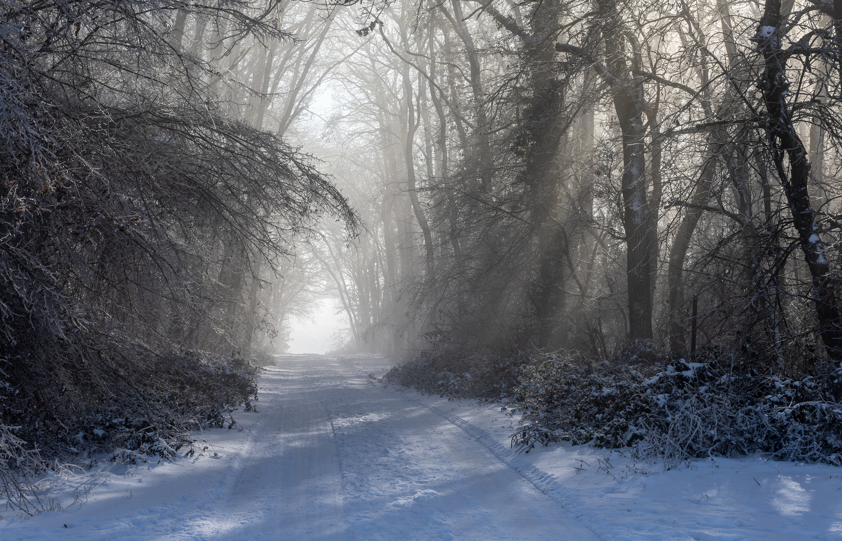 Winter auf der Hochebene der Rheinhessischen Schweiz - II -