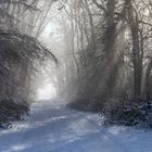 Winter auf der Hochebene der Rheinhessischen Schweiz - II -