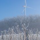 Winter auf der Hochebene der Rheinhessischen Schweiz - IV -