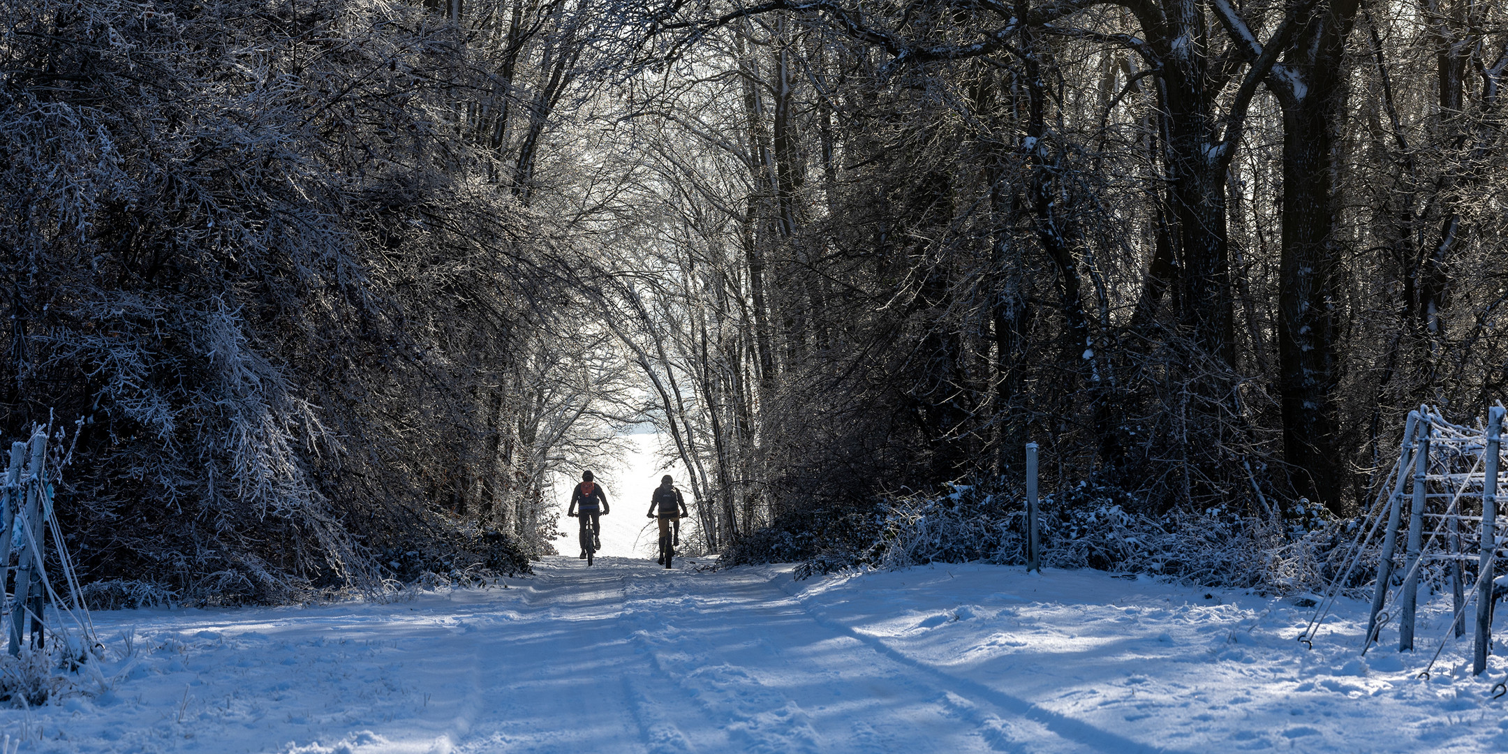 Winter auf der Hochebene der Rheinhessischen Schweiz - V - 