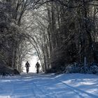 Winter auf der Hochebene der Rheinhessischen Schweiz - V - 