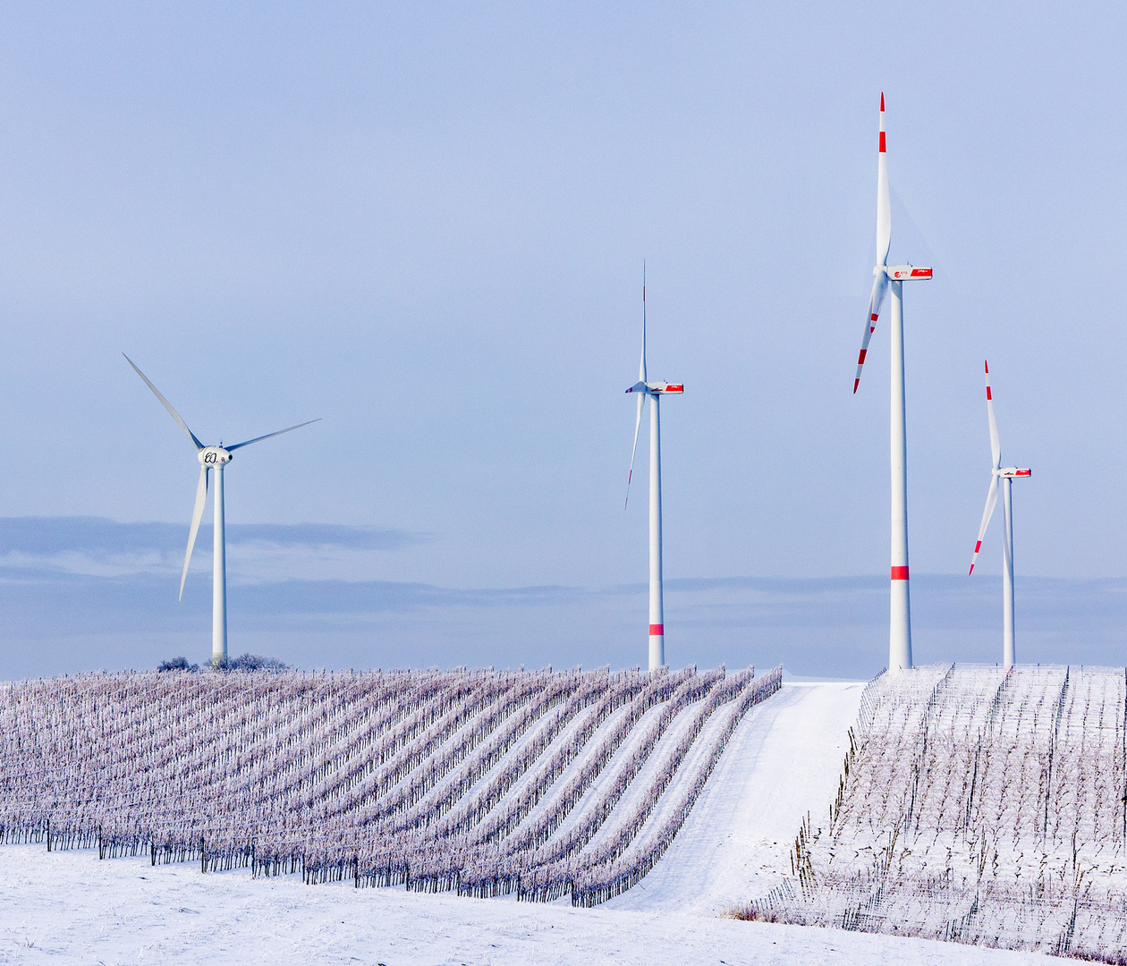 Winter auf der Hochebene der Rheinhessischen Schweiz - VI -