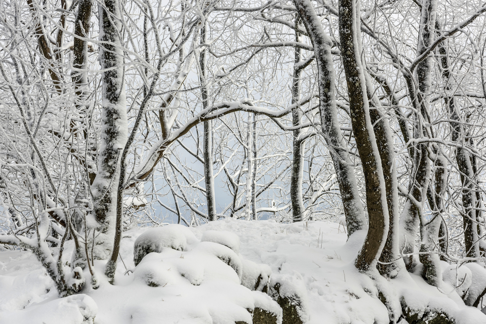 *Winter auf der Hohen Acht*