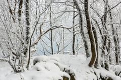 *Winter auf der Hohen Acht*