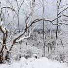 *Winter auf der Hohen Acht II*