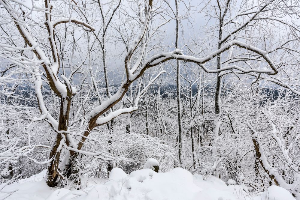 *Winter auf der Hohen Acht II*