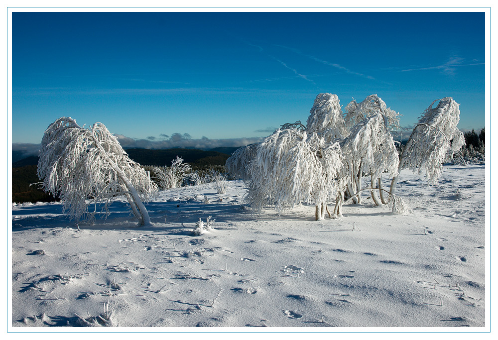 Winter auf der Hornisgrinde