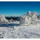 Winter auf der Hornisgrinde