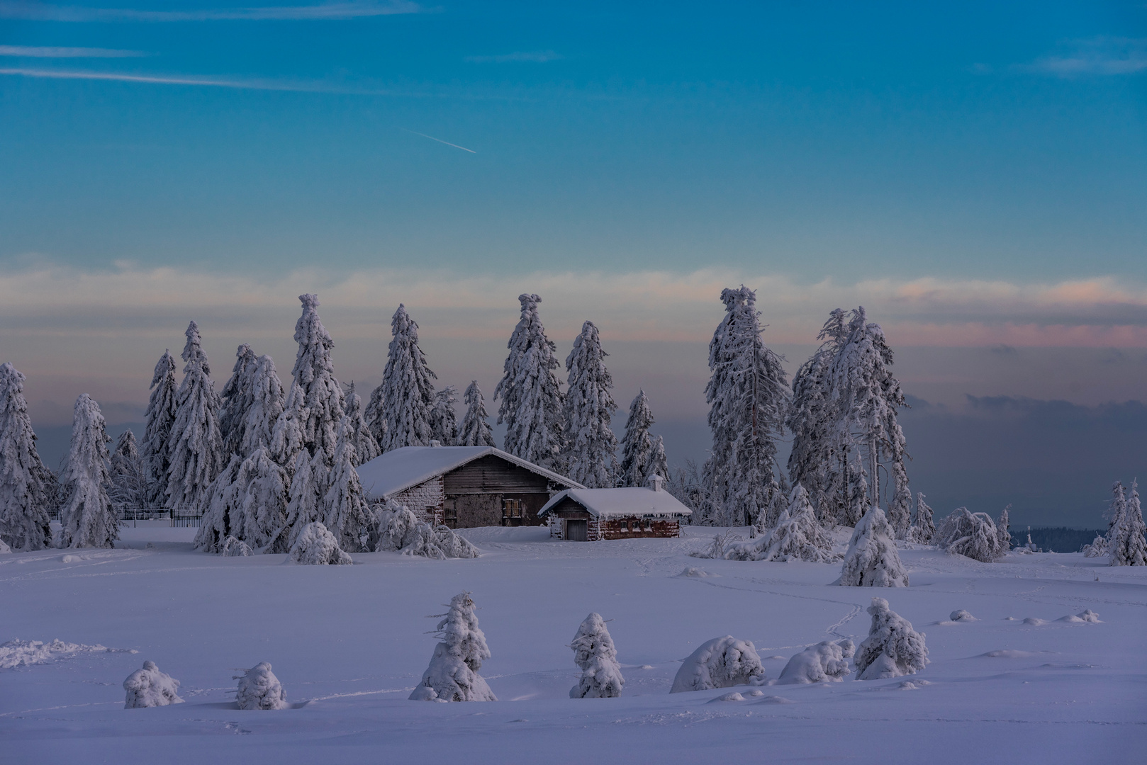 Winter auf der Hornisgrinde