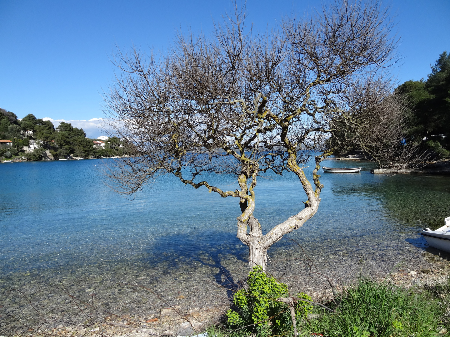 Winter auf der insel