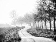 winter auf der insel poel