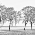 winter auf der insel poel ..