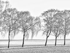 winter auf der insel poel ..