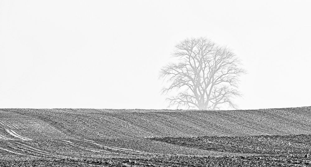 winter auf der insel poel ...