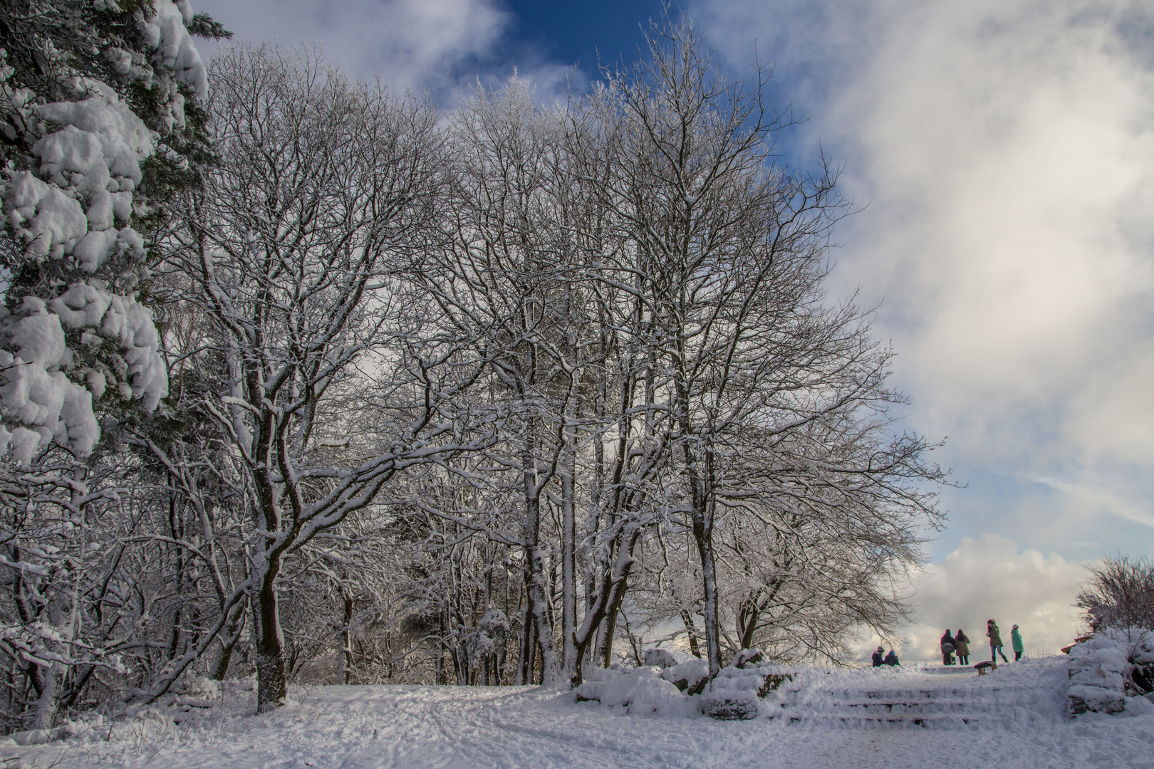 Winter auf der Kalmit