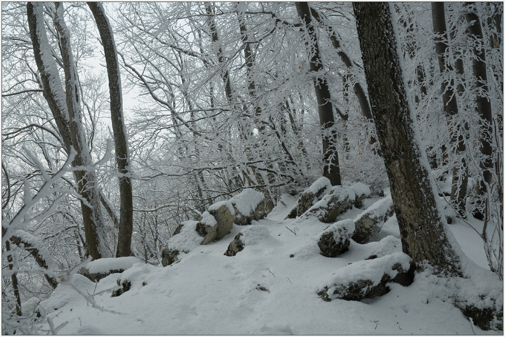 Winter auf der Lägern