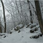 Winter auf der Lägern