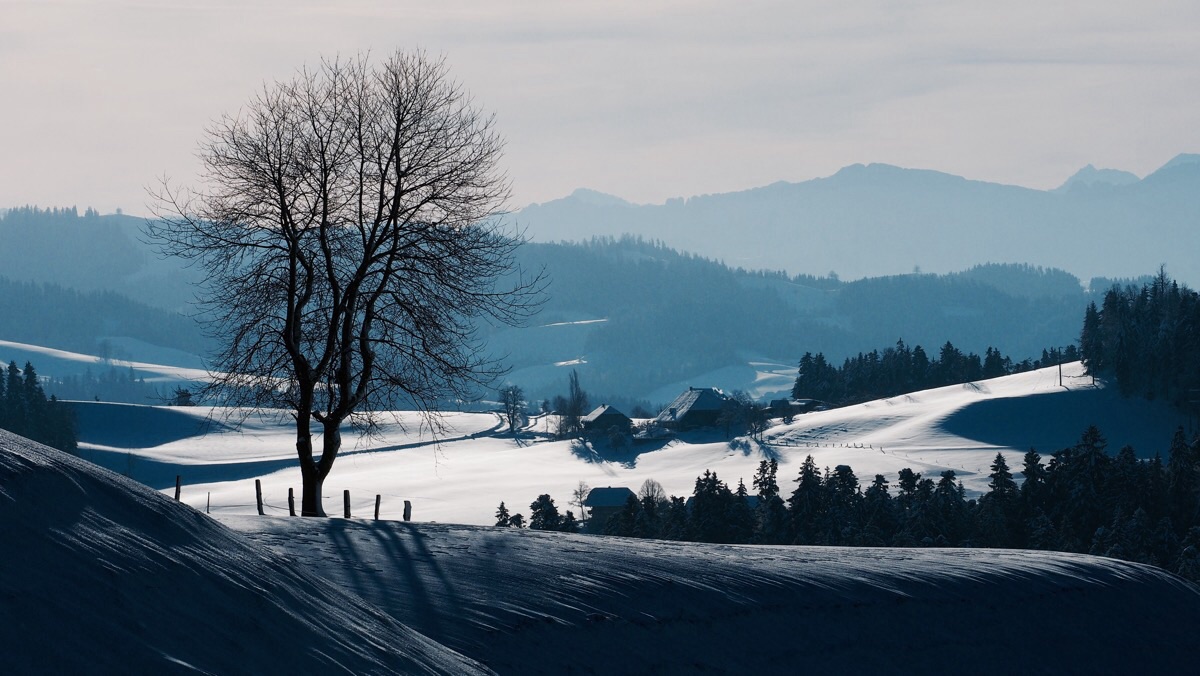 Winter auf der Lueg