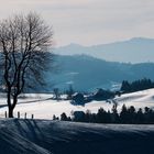 Winter auf der Lueg