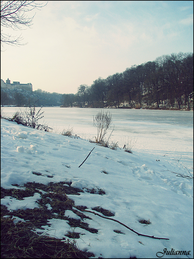 Winter auf der Mulde.