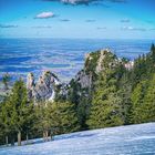 Winter auf der Nordseite der Alpen II