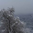 Winter auf der Ostalb - L'hiver sur le  l'est du jura souabe
