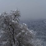 Winter auf der Ostalb - L'hiver sur le  l'est du jura souabe