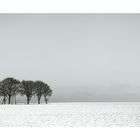 "Winter auf der Paderborner Hochebene I"