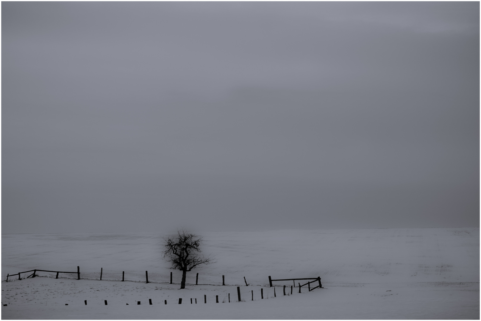 -Winter auf der Paderborner Hochebene II -