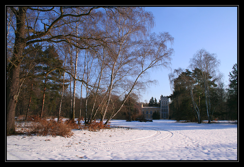 Winter auf der Pfaueninsel