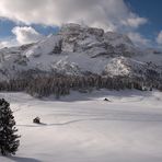 Winter auf der Plätzwiese, die Langlaufloipen sind Anfang Januar leer, hier kann man...