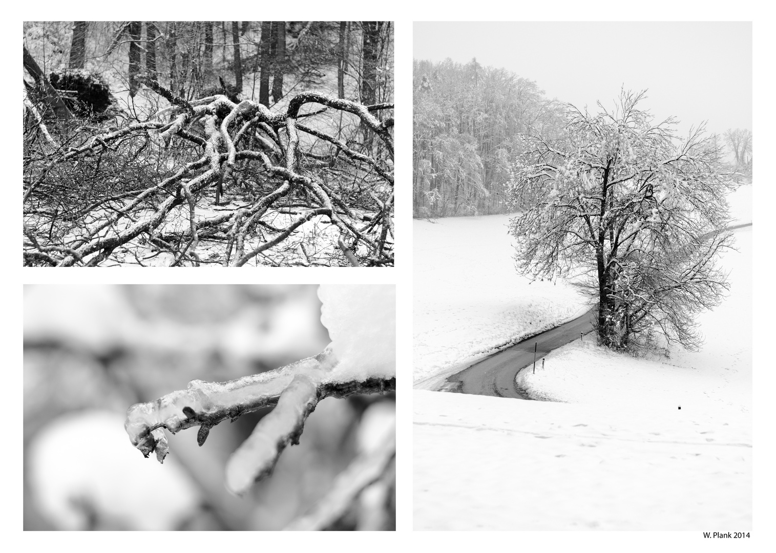 Winter auf der Platte