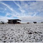 Winter auf der 'Rauhen Alb'