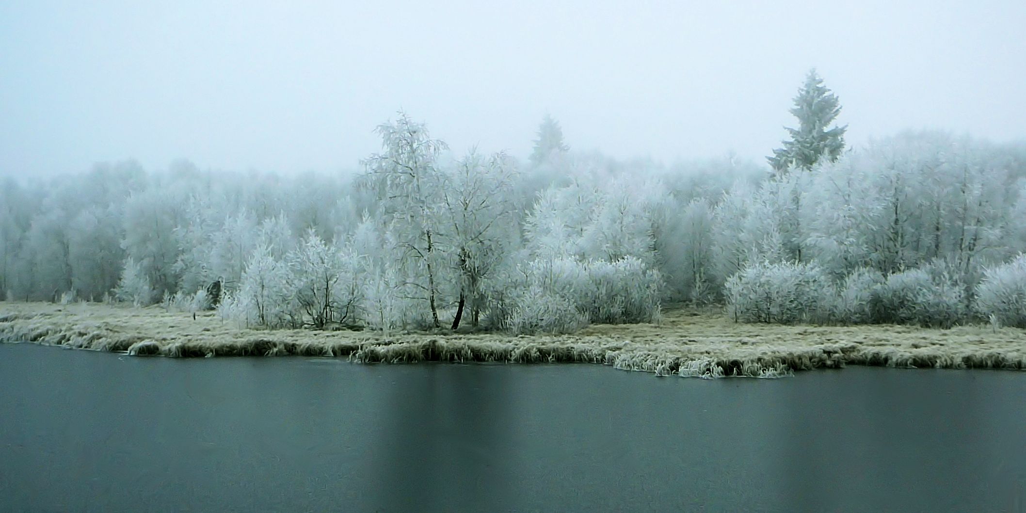 Winter auf der Rhön