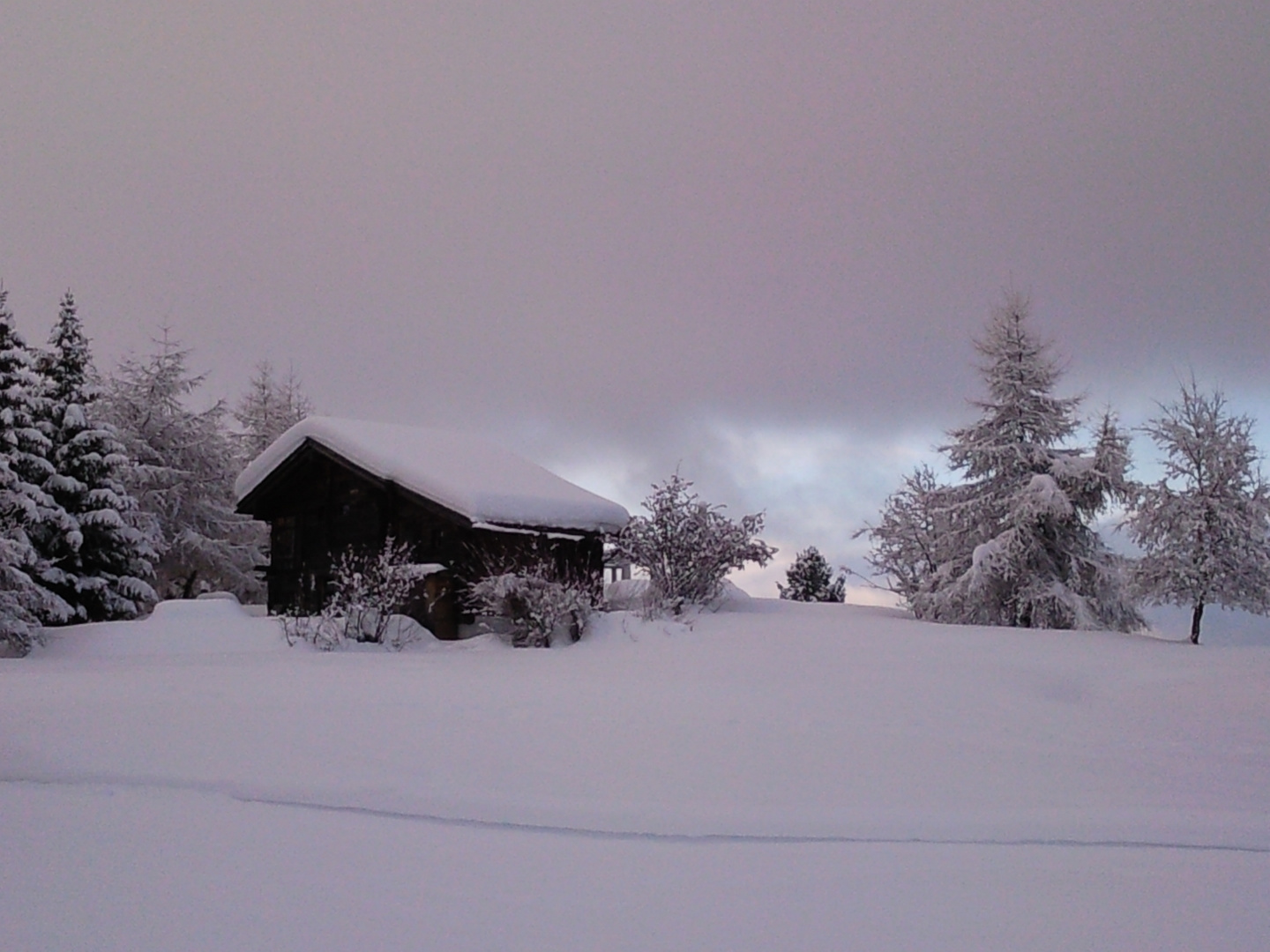 Winter auf der Riederalp