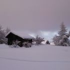 Winter auf der Riederalp