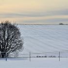 Winter auf der schwäbischen Alb